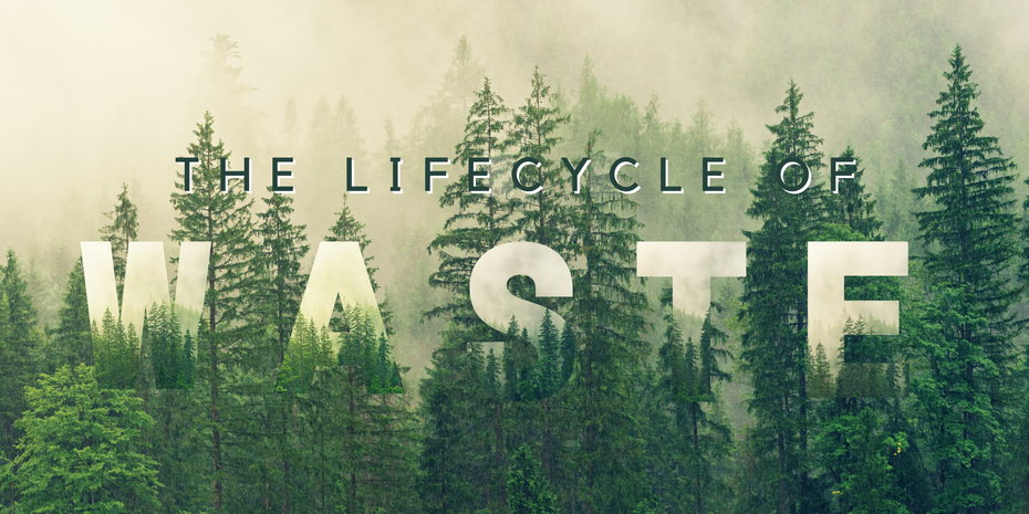 Lifecycle of Waste: Unveiling the journey from Curb to Raw Material 