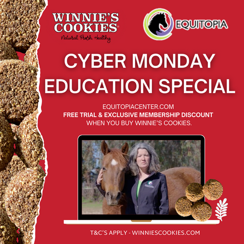 Free Trial Equitopia Center 2023