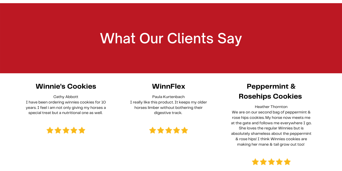 1200x600-winnie-s-website-cornerstone-reviews.png