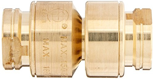 Watts LFN9 Dual Check Vacuum Breaker 3/8 Inch Lead Free