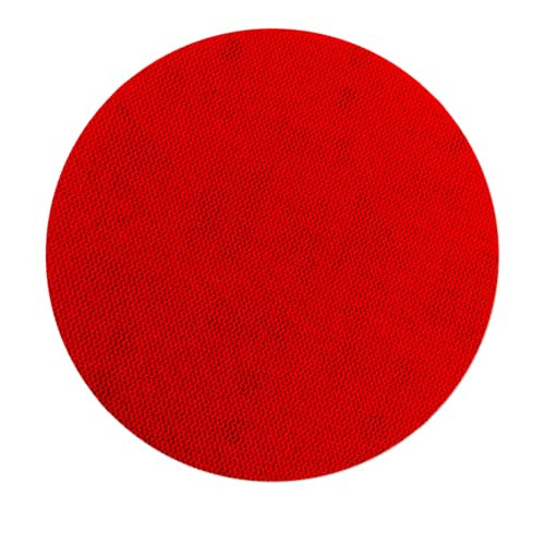 Diablo DND050060H10I 5 in. 60 Grit (Coarse) SandNET Discs with Connection Pad (10-Pack)