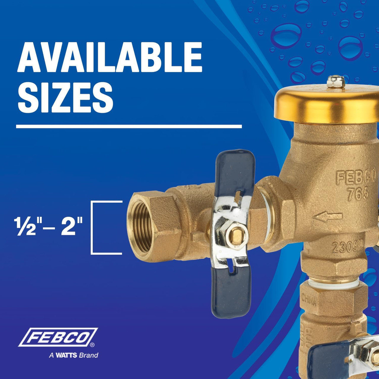 FEBCO T765FBV Pressure Vacuum Breaker 1-1/4 Inch Bronze Freeze Sensor
