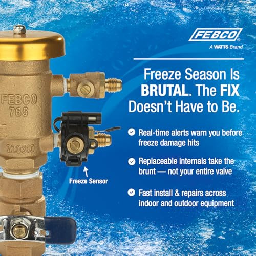 FEBCO T765EUB Pressure Vacuum Breaker 1 Inch Union Bronze