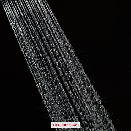 Delta Universal Showering Components RP61181 Single-Setting Raincan Shower Head in Chrome Finish