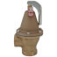 Watts 1-1/2" 174A Bronze Boiler Pressure Relief Valve, 30 psi, Discharge Line Flood Sensor Included - F276500