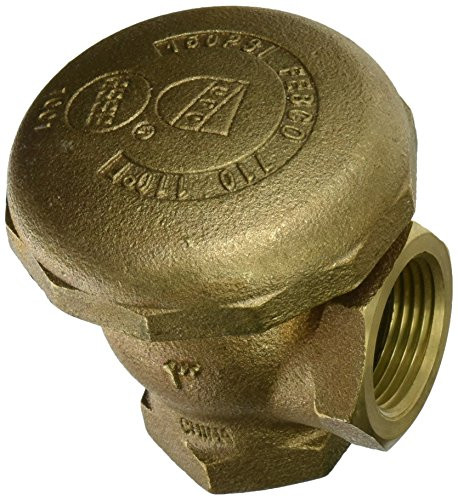 Watts 1" Bronze Atmospheric Vacuum Breaker Backflow Preventer - 710E