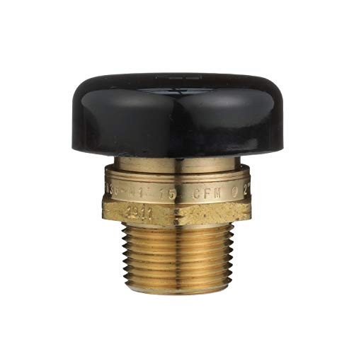 Watts 3/4" Lead Free Brass Vacuum Relief Valve, Male NPT, Protective Cap - 0556031