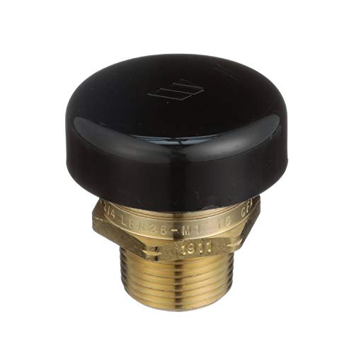 Watts 3/4" Lead Free Brass Vacuum Relief Valve, Male NPT, Protective Cap - 0556031