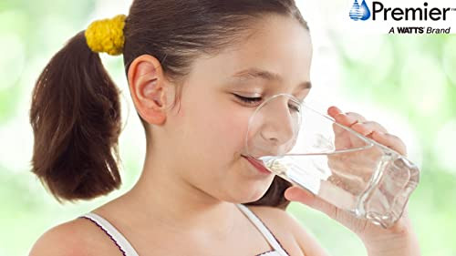 Watts 20 Micron Radial Flow Carbon Block Cartridge for OneFlow Plus System, OFPSYS - 7100639