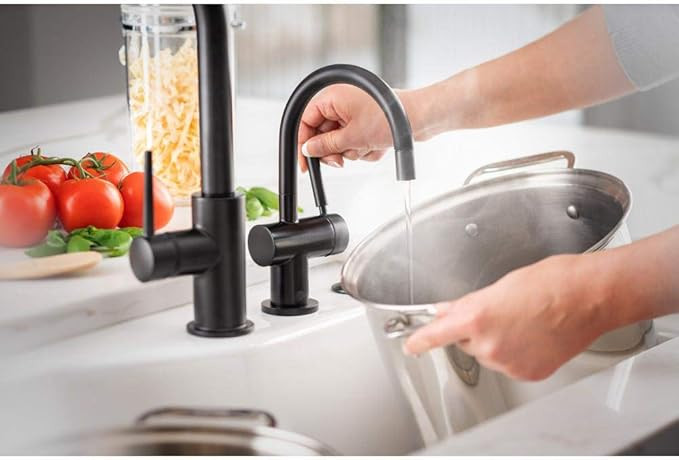 InSinkErator Indulge FH3300 Instant Hot Water Dispenser Faucet in Matte Black - 44240G-ISE