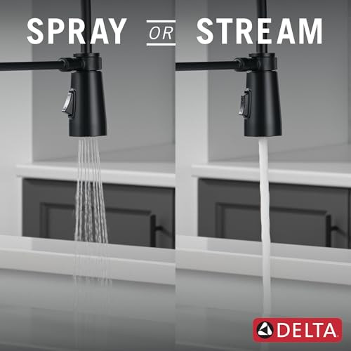 Delta Essa Essa Single-Handle Pull-Down Spring Kitchen Faucet in Matte Black - 9613-BL-DST