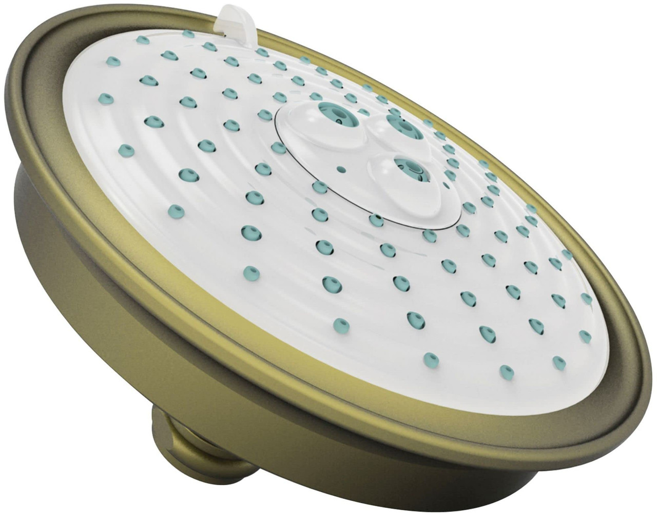 Newport Brass 2144/06 Multifunction Shower Head Antique Brass