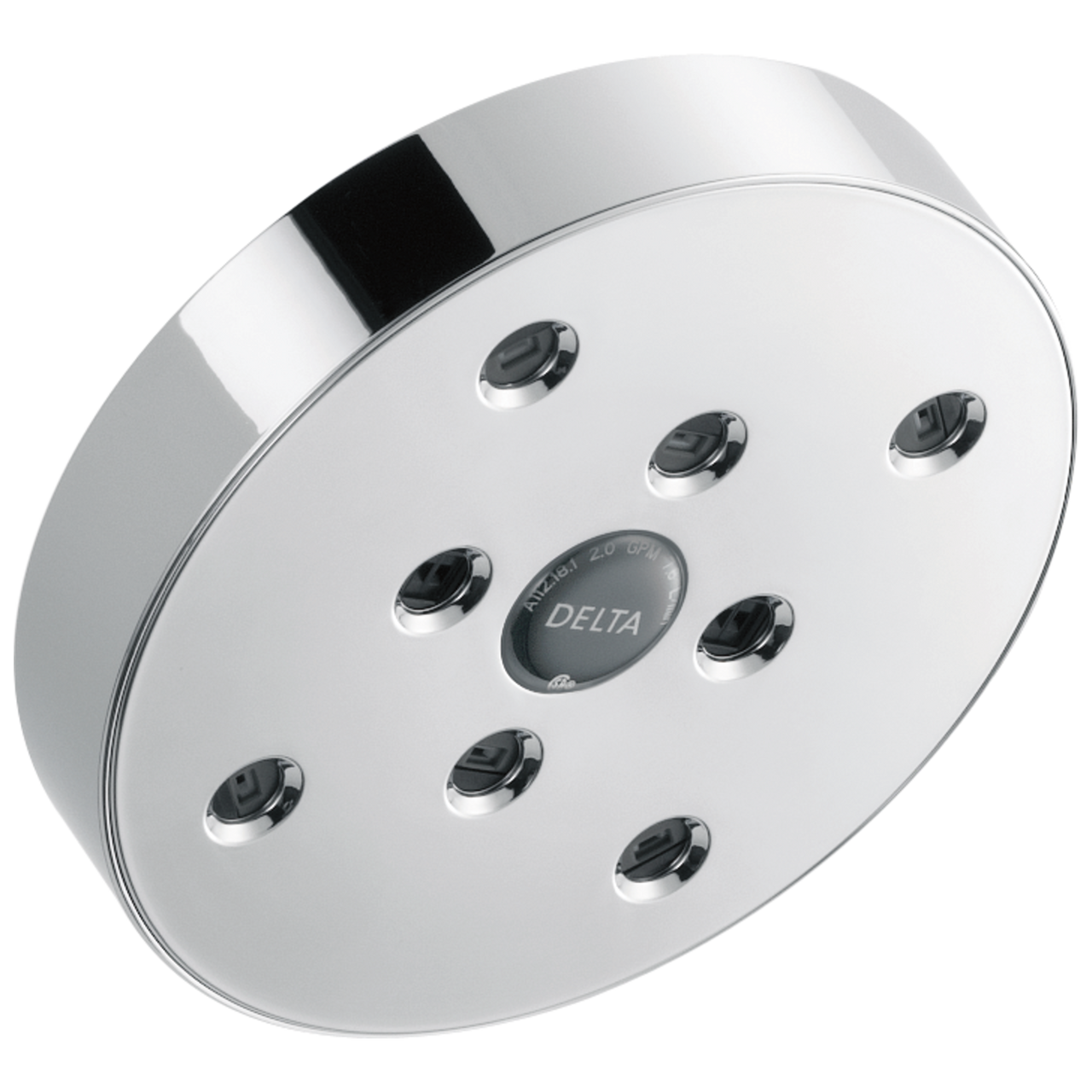 Delta Universal Showering Components RP70175PR SingleSetting