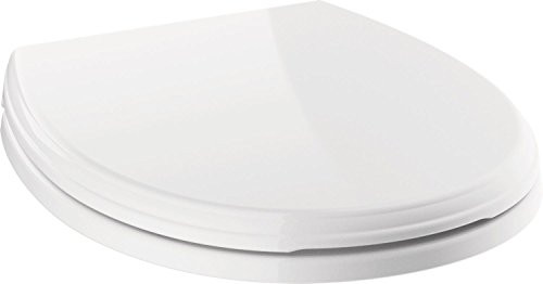 Delta Wycliffe 801901-WH Round Front Slow-Close Toilet Seat in White Finish