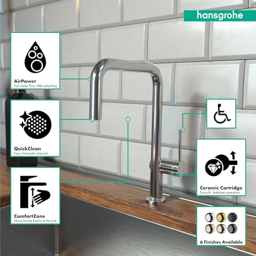 Hansgrohe 72806001 Talis N Kitchen Faucet, U-Style 1-Spray, 1.75 GPM in Chrome