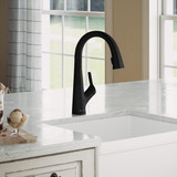 Elkay Avado Single Hole 2-in-1 Kitchen Faucet with Filtered Drinking Water Matte Black