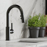 Elkay Avado Single Hole Bar Faucet with Pull-down Spray and Lever Handle Black Stainless