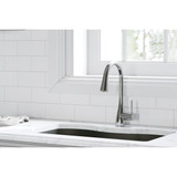 Elkay Gourmet Single Hole Kitchen Faucet with Pull-down Spray and Forward Only Lever Handle Chrome