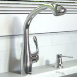 Hansgrohe 06461000 Allegro E Kitchen: Chrome