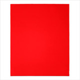 Diablo DCS911060S20G 9 in. x 11 in. 60-Grit (Coarse) Sanding Sheet (20-Pack)