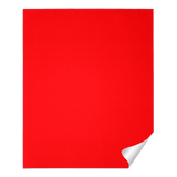 Diablo DCS911080S01B 9 in. x 11 in. 80-Grit (Coarse) Sanding Sheet