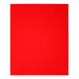 Diablo DCS911080S20G 9 in. x 11 in. 80-Grit (Coarse) Sanding Sheet (20-Pack)