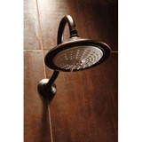 Delta Victorian RP34356SS Flange - Shower in Stainless Finish