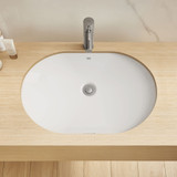 Grohe Essence 39673000 Under Counter 24" Bathroom Sink in Grohe Alpine White