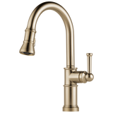 Brizo Artesso Single Handle Pull-Down Kitchen Faucet in Luxe Gold Finish - 63025LF-GL