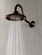 Delta Victorian RP34356RB Flange - Shower in Venetian Bronze Finish