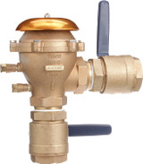 FEBCO T765HBV Pressure Vacuum Breaker 2 Inch Bronze Freeze Sensor