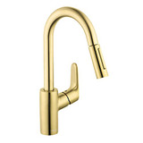 Hansgrohe 04506251 Focus Prep Kitchen Faucet, 2-Spray Pull-Down, 1.75 GPM in Brushed Gold Optic