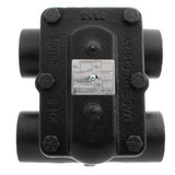 Hoffman 404220 BearTrap Steam Trap 1-1/4 Inch 15 PSI