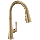 Bundle: Delta Emmeline Single Handle Pull Down Kitchen Faucet in Lumicoat Champagne Bronze with Environmental Water Systems SS-2.5 Essential Max Flow Drinking Water System