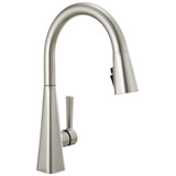 Delta Lenta Single-Handle Pull-Down Kitchen Faucet in Spotshield Stainless - 19802Z-SP-DST