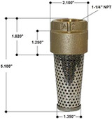 Merrill 710 Series 1-1/4 in. Brass Foot Valve - FVNL125