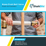 Sharkbite 1-1/4 in. Push-to-Connect Brass Ball Valve - UXLBV35
