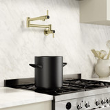 Blanco Culina Potfiller Faucet 1.5 GPM in Satin Gold - 527488