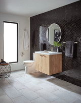 Moen Double Robe Hook - BP3703BN