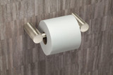 Moen Toilet Paper Holder - YB0408BN