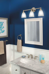 Moen Wall-Mount Towel Bar 24 Inch - YB2224BN