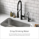 Moen Sip Spot Resist Stainless Traditional Drinking Water Beverage Faucet with Optional Filtration System in Spot Resist Stainless - F7600SRS