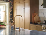 Moen Sip Traditional Cold Water Kitchen Beverage Faucet with Optional Filtration System in Brushed Gold - S5510BG