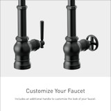 Moen Paterson One Handle Pulldown Bar Faucet with Power Clean Includes Interchangeable Handle in Matte Black - S52003BL