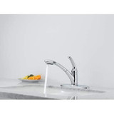 Delta Signature Pullouts 470-WE-DST Single Handle Pull-Out Water-Efficient Kitchen Faucet - Single Handle Lever: Chrome