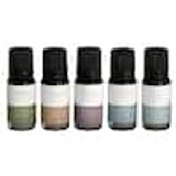 Mr. Steam MS ESSENTIAL5 MS ESSENTIAL 5 PACK