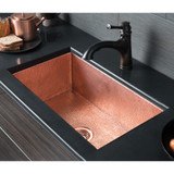 Native Trails CPK593 Cocina 30" Kitchen Sink: Brushed Nickel