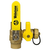 Webstone 50613 Pro-Pal Series 3/4" C x C Ball Valve with Drain Outlet