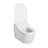 TOTO WASHLET+ AP Wall-Hung D-Shape Toilet with RX Bidet Seat and DuoFit In-Wall 1.28 and 0.9 GPF Dual-Flush Tank System, Matte Silver - CWT447247CMFG#MS