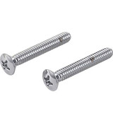 Delta RP6404 Screws (2) - Overflow Plate in Chrome Finish